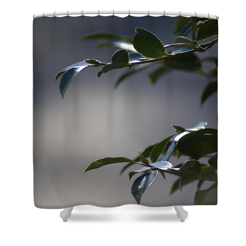  Shower Curtain featuring the photograph Highlights by Heather E Harman
