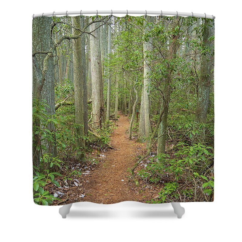 New Jersey Shower Curtain featuring the photograph Hiking The 1808 Trail by Kristia Adams