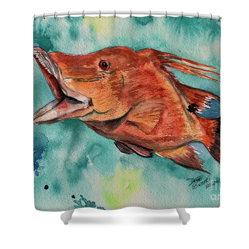 Fish Shower Curtain featuring the painting Hog fish by Diane Ziemski