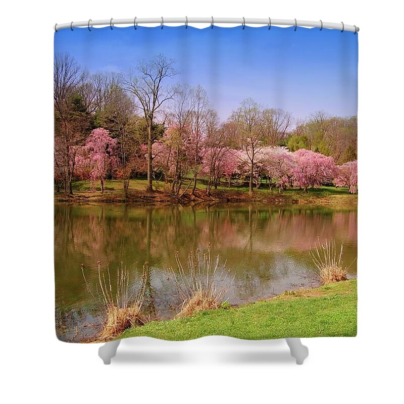 Cherry Blossoms Shower Curtain featuring the photograph Holmdel Park In Spring by Angie Tirado