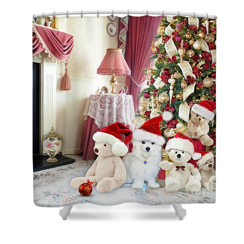 Maltese Dog Shower Curtain featuring the mixed media Home at Christmas by Morag Bates
