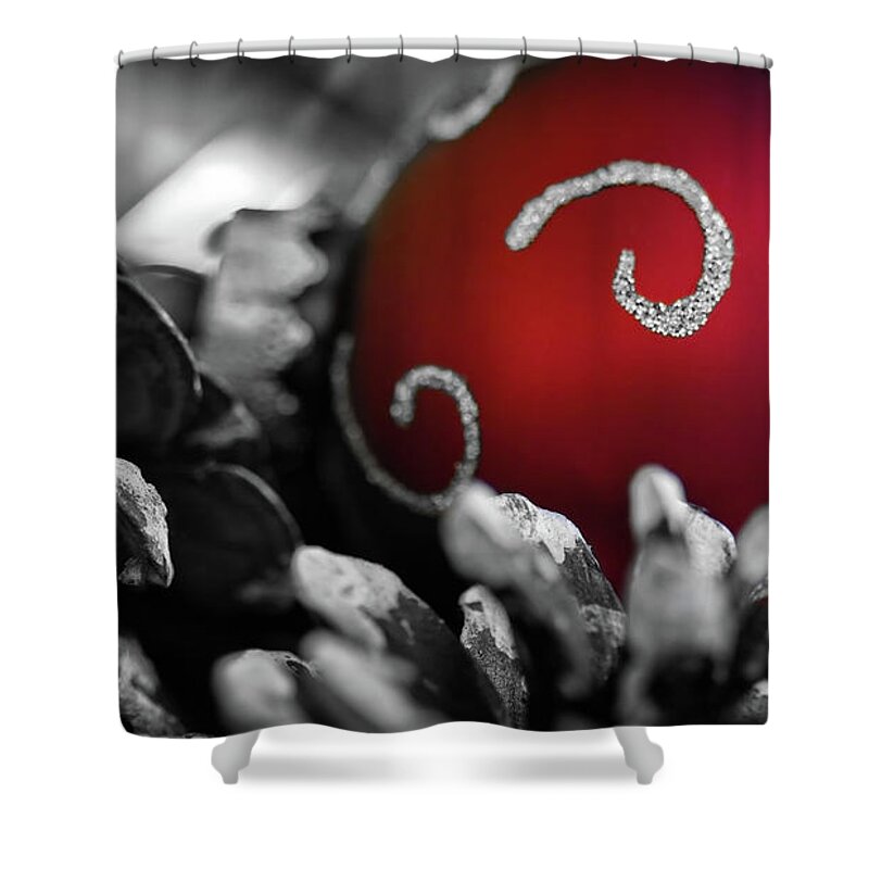 Holidays Shower Curtain featuring the photograph Home for the Holidays by Doug Sturgess