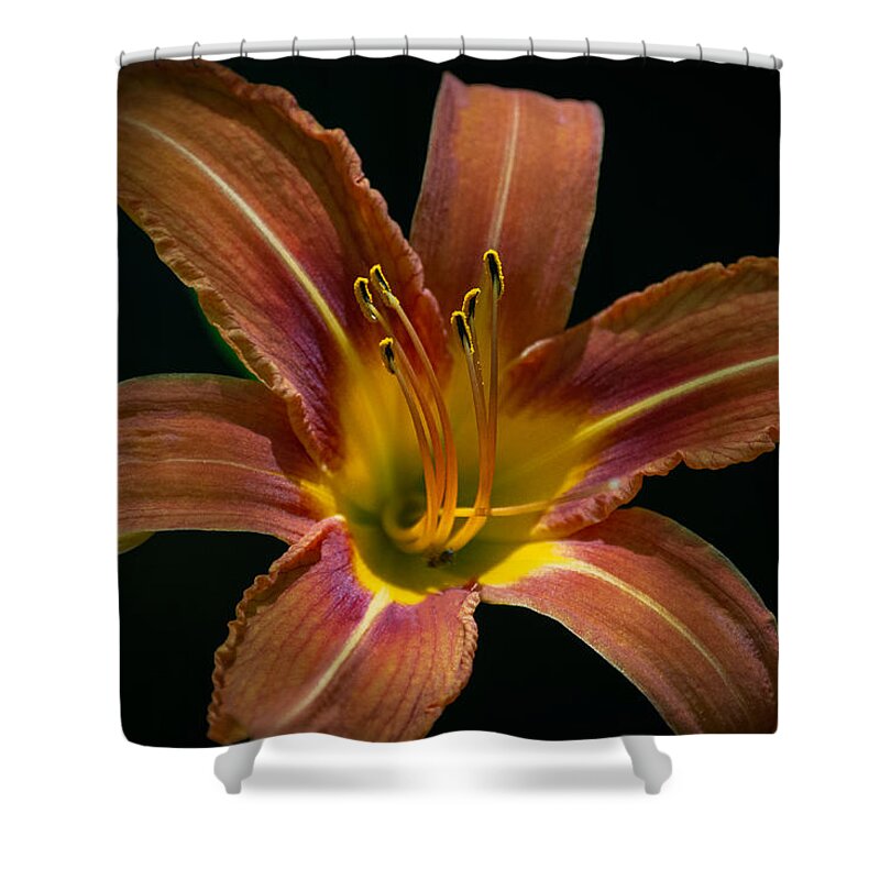 Daylily Shower Curtain featuring the photograph Home is Where We Grow by Linda Bonaccorsi