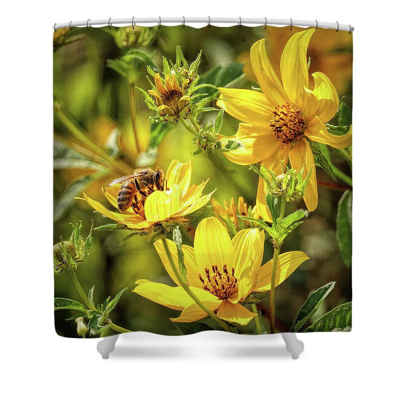 Honey Bee Shower Curtain featuring the photograph Honey Bee on Woodland Sunflower by Dennis Lundell