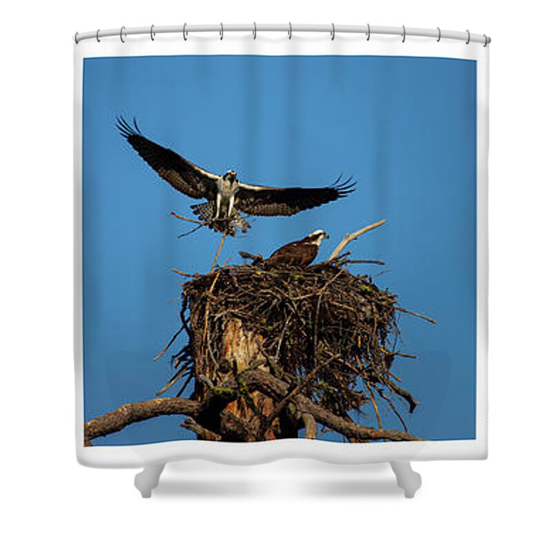 Nature Shower Curtain featuring the photograph Honey Do List Triptych by Mike Lee