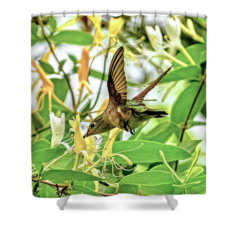 Flower Shower Curtain featuring the photograph Honey Suckle by Jerry Connally