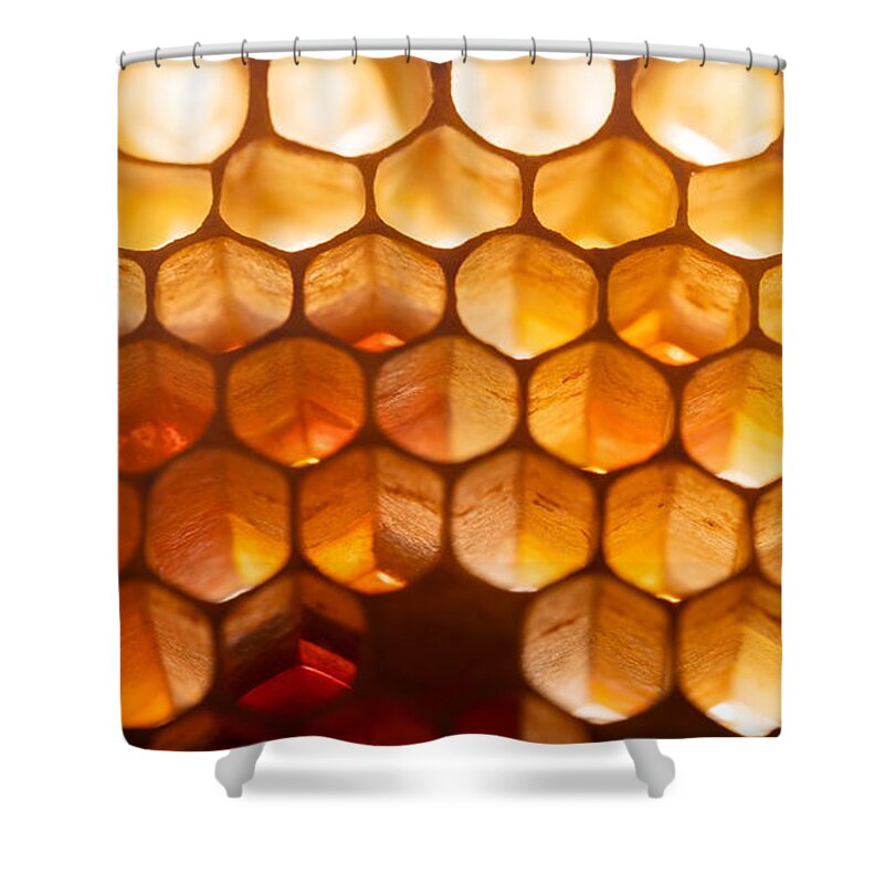 Honey Shower Curtain featuring the photograph Honeycomb Macro by Amelia Pearn
