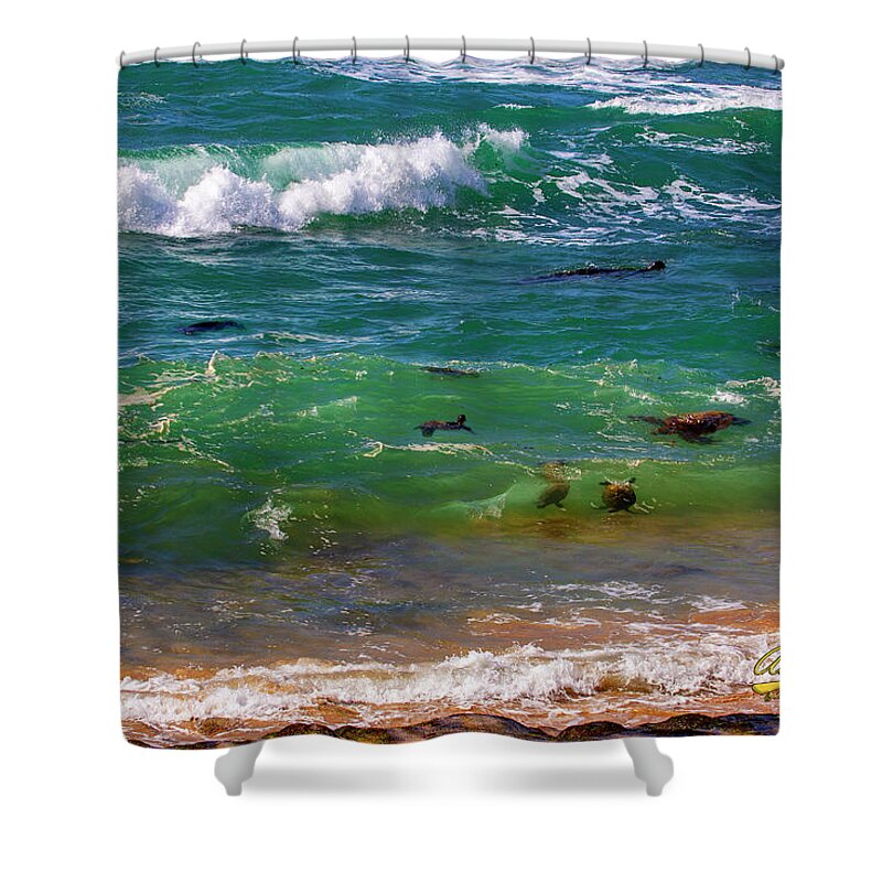 Honu Shower Curtain featuring the photograph Honu Playground by Anthony Jones