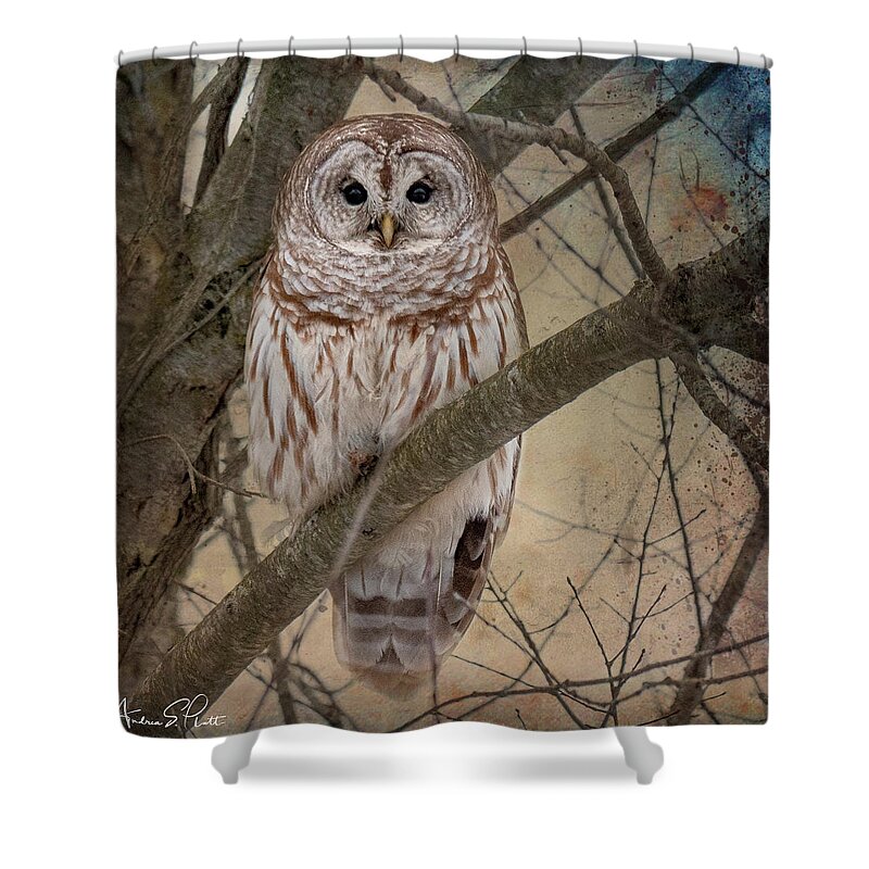 Barred Owl Shower Curtain featuring the photograph Hoping for Olivia by Andrea Platt
