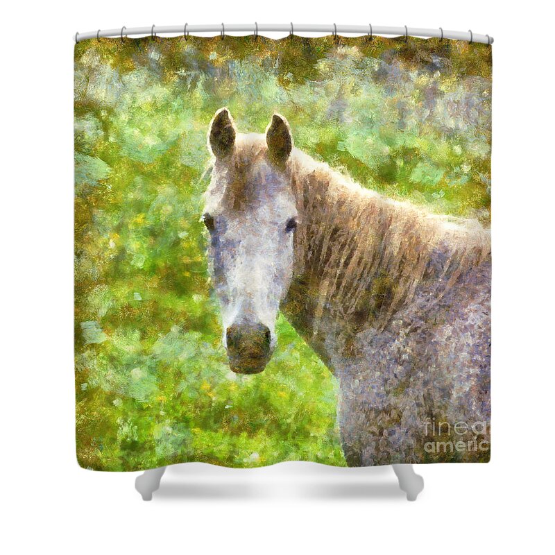 Horse Shower Curtain featuring the painting Horse by Alexa Szlavics