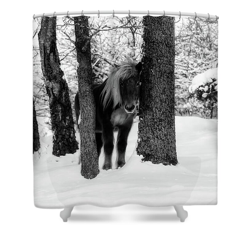 Horse Shower Curtain featuring the photograph Horse Between Trees in Snowy Winter Landscape - Black and White by Nicklas Gustafsson