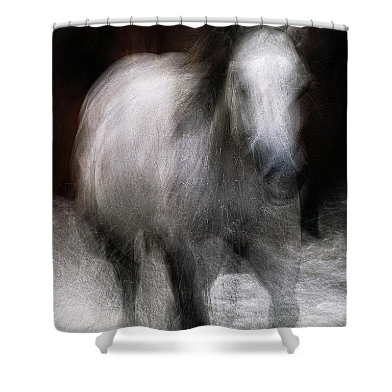 Landscape Shower Curtain featuring the photograph Horse by Grant Galbraith