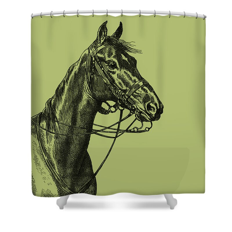Horse Shower Curtain featuring the digital art Horse Portrait by Madame Memento