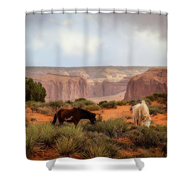 Monument Valley Shower Curtain featuring the photograph Horses in Monument valley by Alberto Zanoni