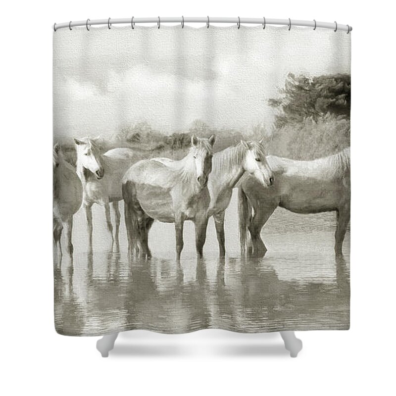 Horse Shower Curtain featuring the photograph Wild Horses Resting by Karen Lynch