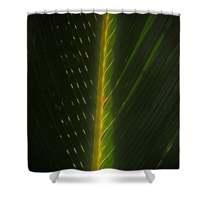 Palm Shower Curtain featuring the photograph Hosanna by Tiesa Wesen