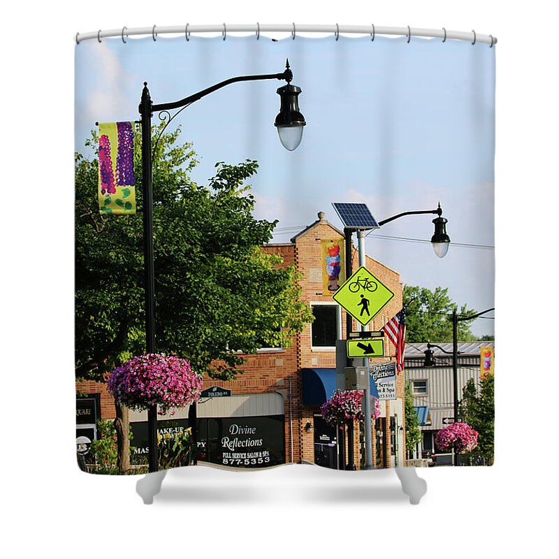 Whitehouse Ohio Shower Curtain featuring the photograph Hot Air Balloon over Whitehouse Ohio 9843 by Jack Schultz
