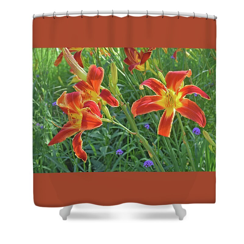 Daylilies Shower Curtain featuring the photograph Hot July Field of Daylilies by Janis Senungetuk