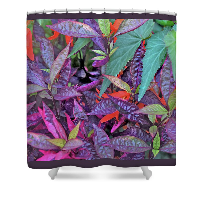 Summer Flowers Shower Curtain featuring the photograph Hot July by Janis Senungetuk