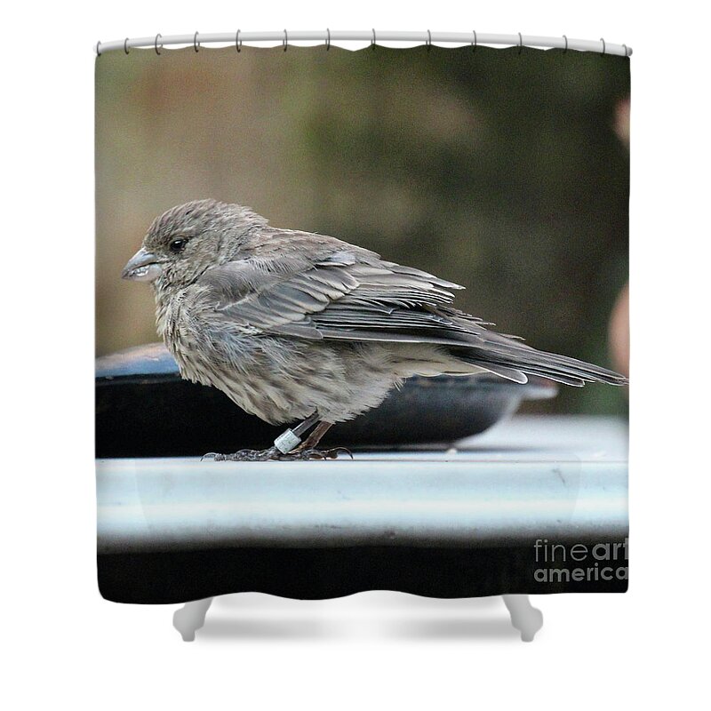 Wild Life Shower Curtain featuring the photograph House Arrest by Patricia Youngquist