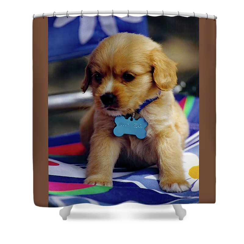Puppy Shower Curtain featuring the photograph Huggy Bear by Jennifer Robin