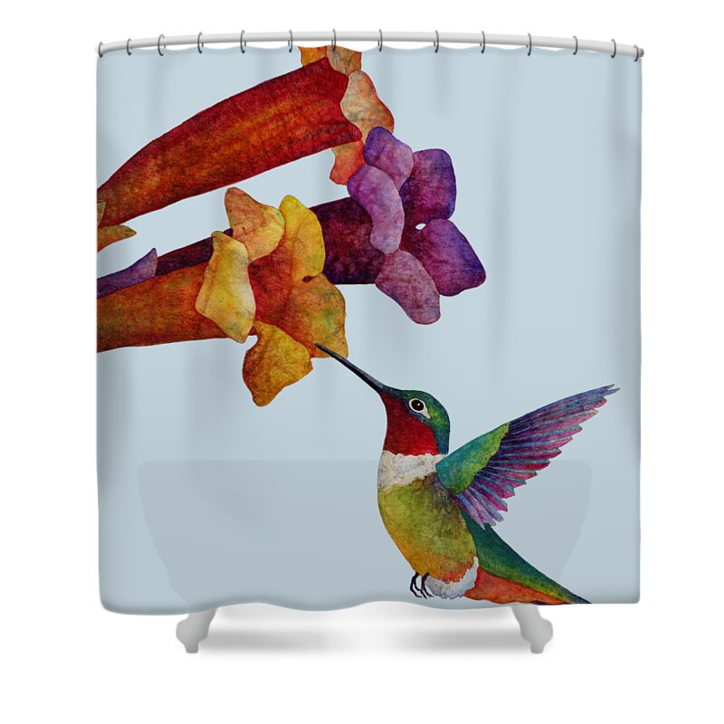 Hummingbird Shower Curtain featuring the painting Hummer Time - solid background by Hailey E Herrera