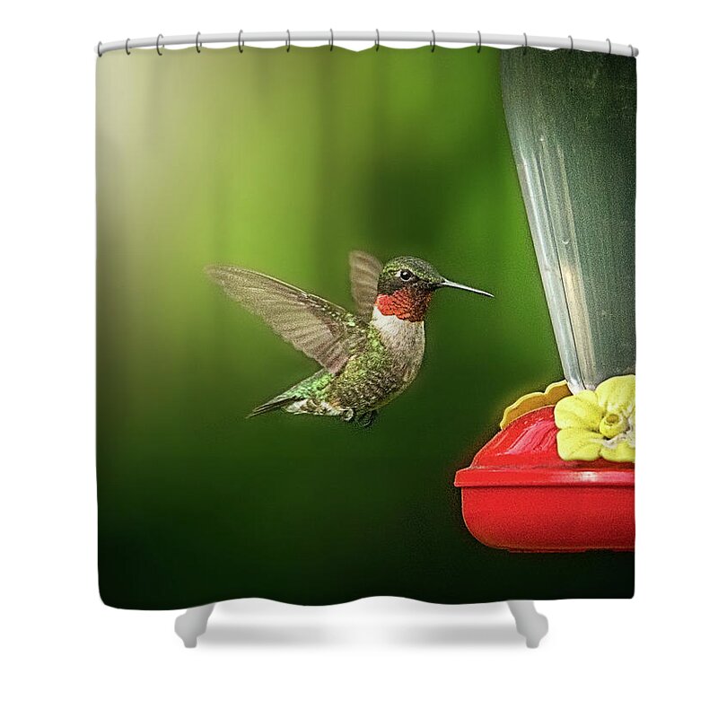  Shower Curtain featuring the photograph Hummingbird beauty by Nicole Engstrom