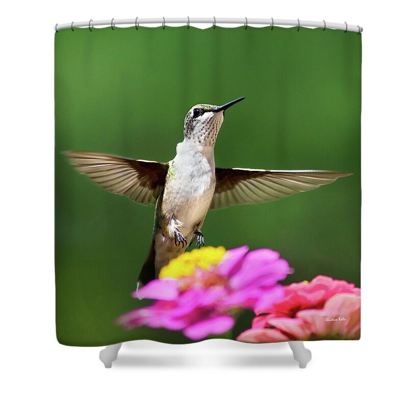 Hummingbird Shower Curtain featuring the photograph Hummingbird by Christina Rollo