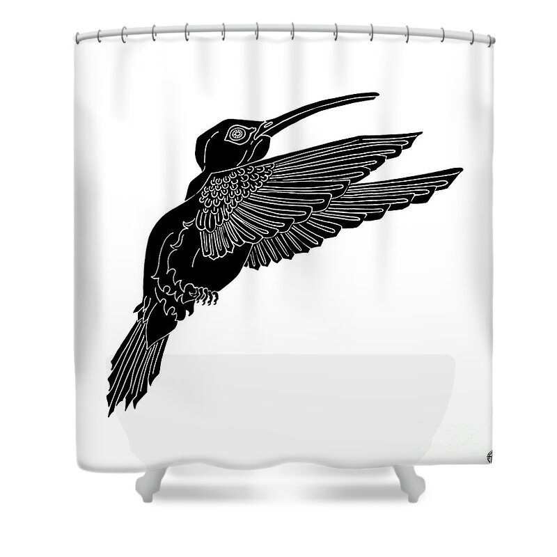 Hummingbird Shower Curtain featuring the drawing Hummingbird Ink 1 by Amy E Fraser