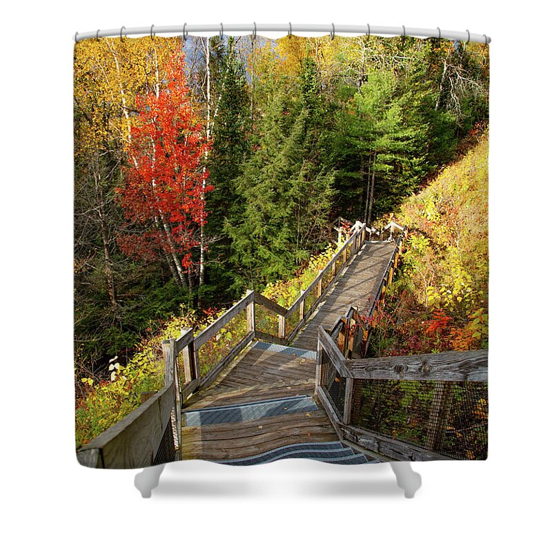 Au Sable River Shower Curtain featuring the photograph Huron Manistee National Forest in Michigan with fall colors by Eldon McGraw