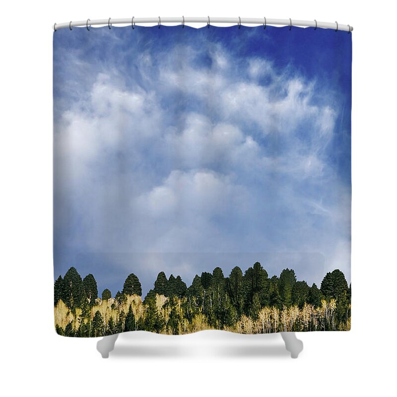Nature Shower Curtain featuring the photograph I Like To Watch by The Walkers