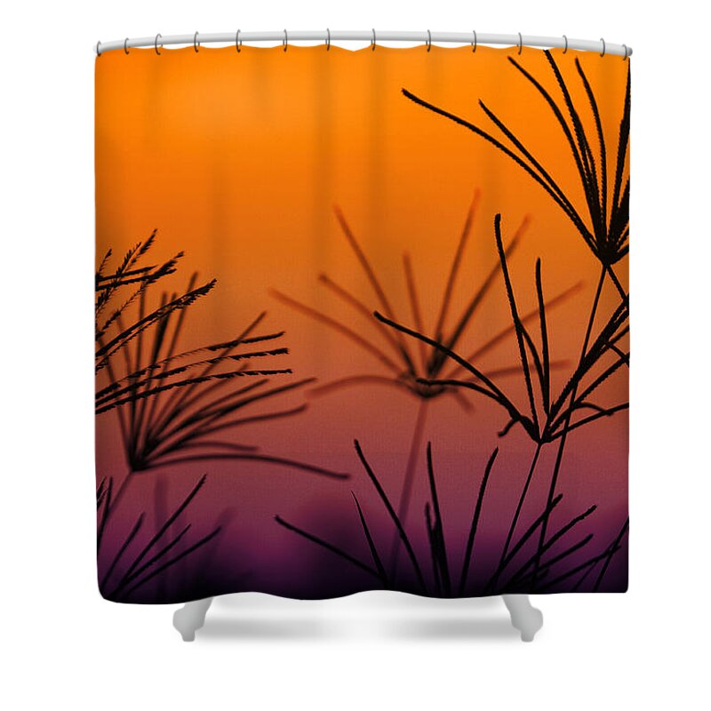 Nature Shower Curtain featuring the photograph I Love a Sunburnt Country by Holly Kempe