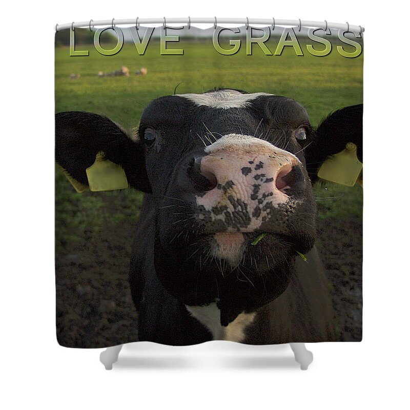 Cow Shower Curtain featuring the photograph I Love Grass by Luc Van de Steeg