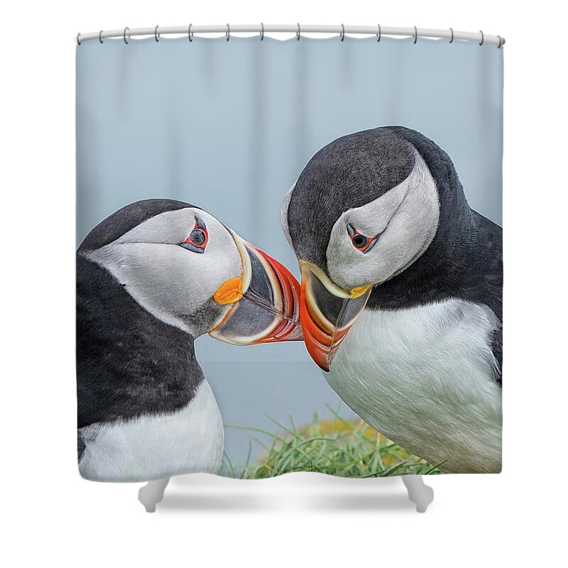 Atlantic Puffin Shower Curtain featuring the photograph I Love You by CR Courson