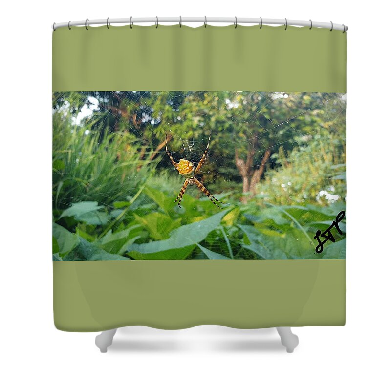 Spider Shower Curtain featuring the photograph I Web You by Esoteric Gardens KN