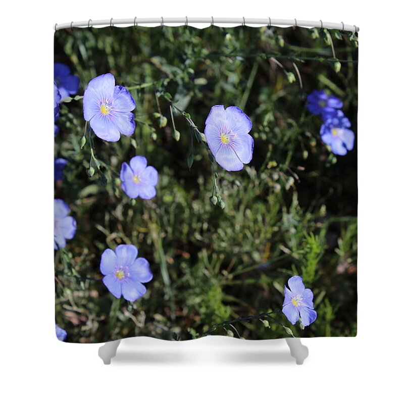 Blue Flowers Shower Curtain featuring the photograph I will lift up mine eyes unto the hills, from whence cometh my help. by Yvonne M Smith
