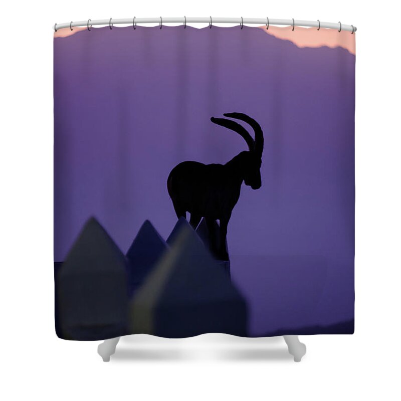 Andalucia Shower Curtain featuring the photograph Ibex and Mount Maroma by Gary Browne