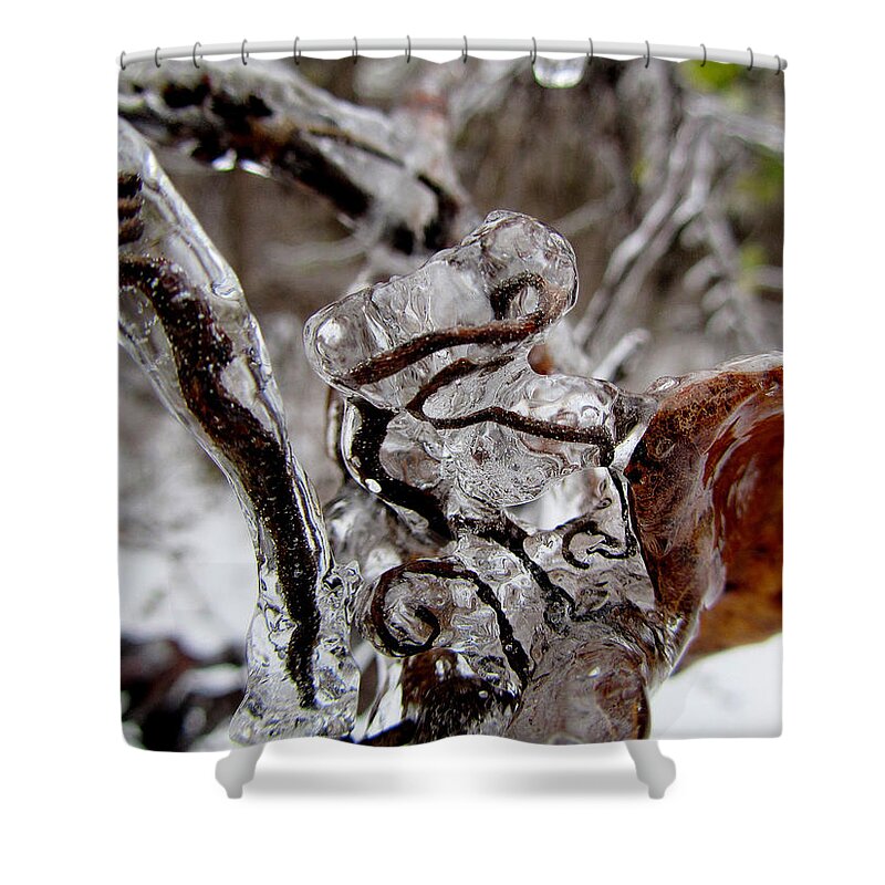 Vines Ice Fstop101 Nature Plants Shower Curtain featuring the photograph Ice Covered Vines by Geno Lee
