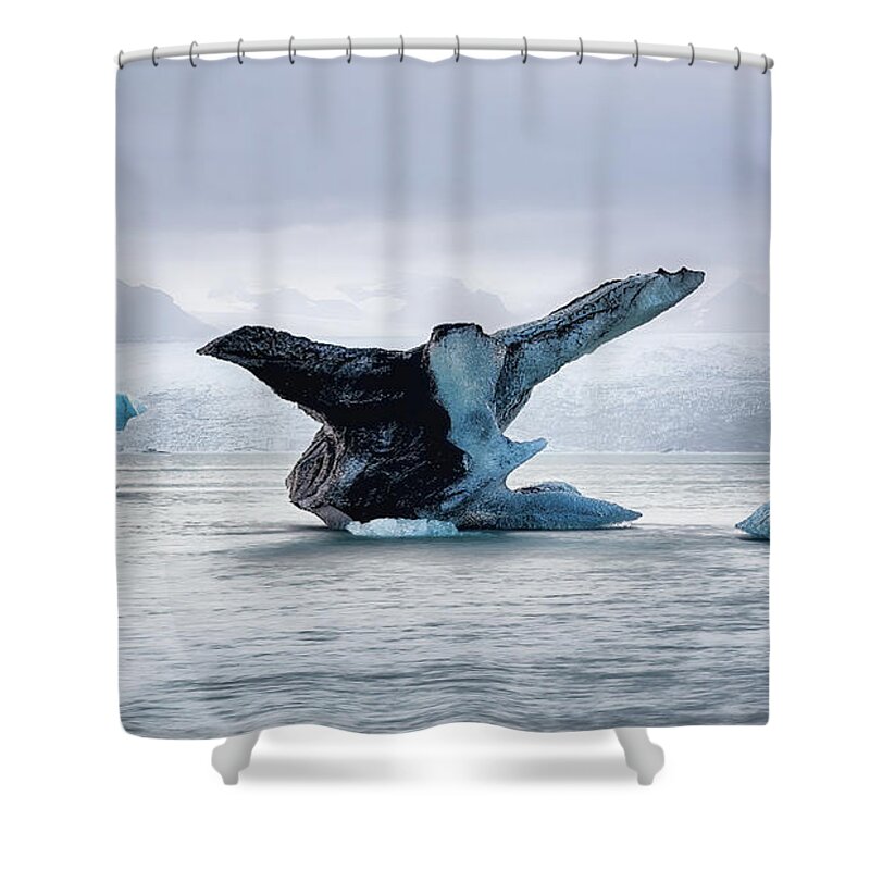 Breiðamerkurjökull Shower Curtain featuring the photograph Icebird by Dee Potter
