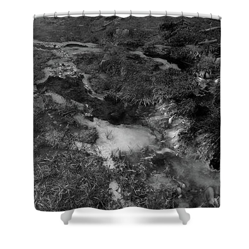 Richard E. Porter Shower Curtain featuring the photograph Icy Stream, Lincoln National Forest, New Mexico by Richard Porter