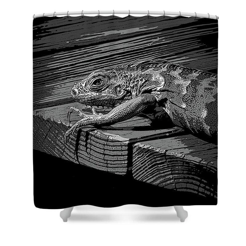 Iguana Shower Curtain featuring the photograph Iguana B/W by Debra Kewley