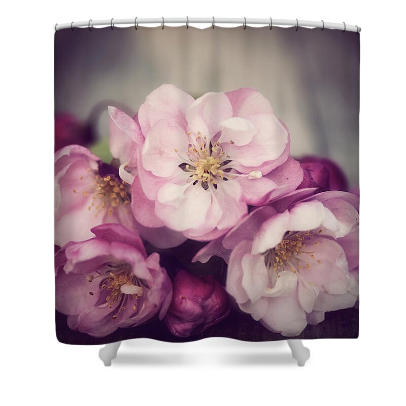 Flowers Shower Curtain featuring the photograph I'm Feeling Love by Philippe Sainte-Laudy