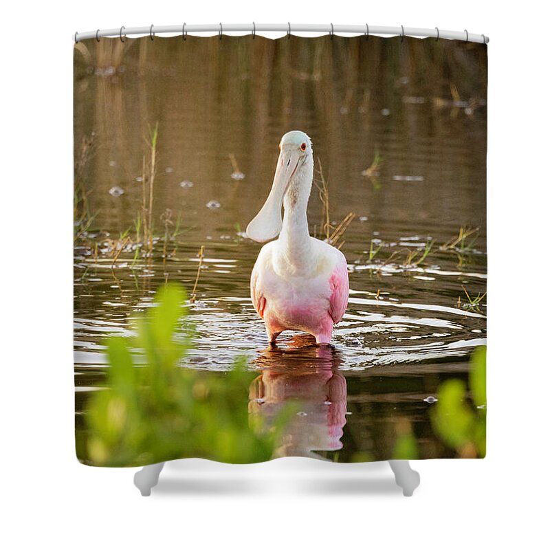 I5g_3472 Shower Curtain featuring the photograph Images from the Dawn Patrol on Blackpoint Drive by Gordon Elwell