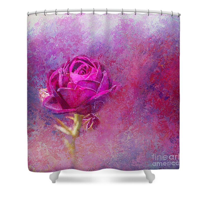 Rose Shower Curtain featuring the photograph Impressionist Rose by Eva Lechner