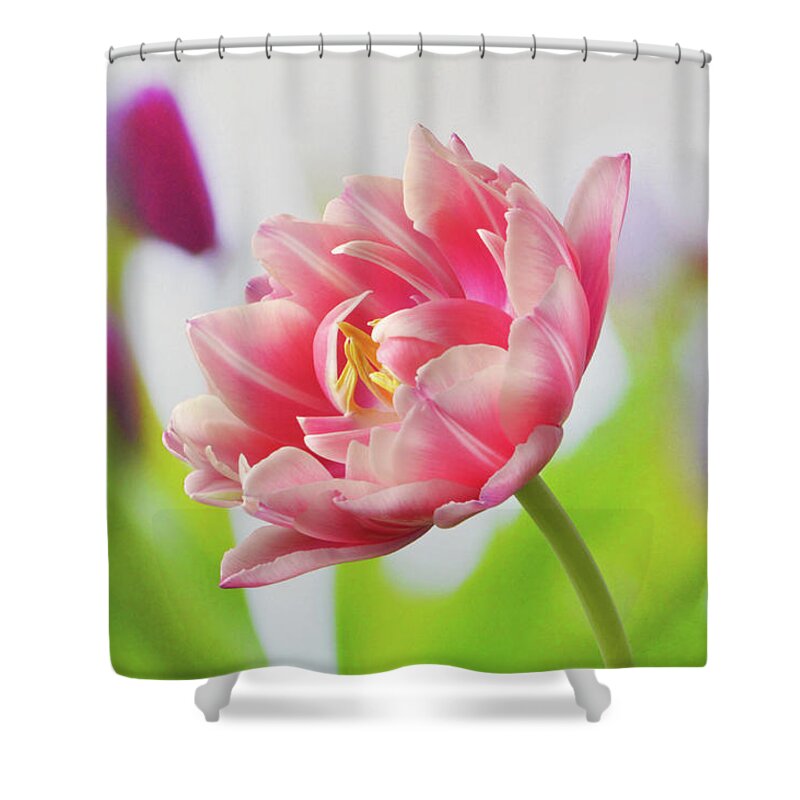 Tulips Shower Curtain featuring the photograph In Front Of The Bunch by Terence Davis