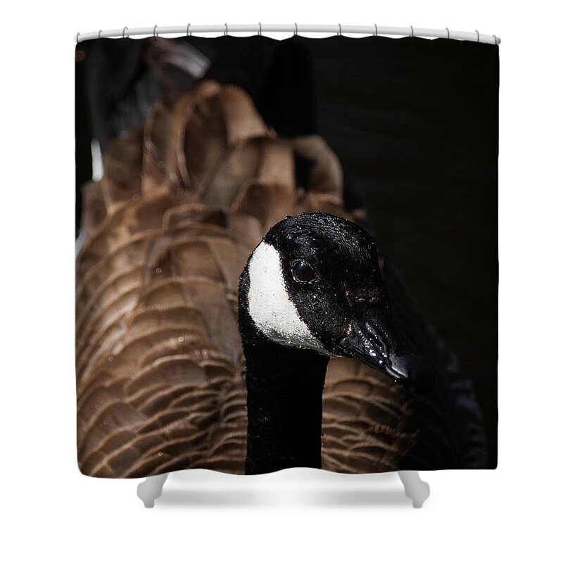Wildlife Shower Curtain featuring the photograph In My Space by Linda Bonaccorsi