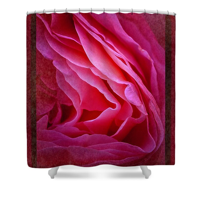 Art Shower Curtain featuring the photograph In the Folds by Norman Reid