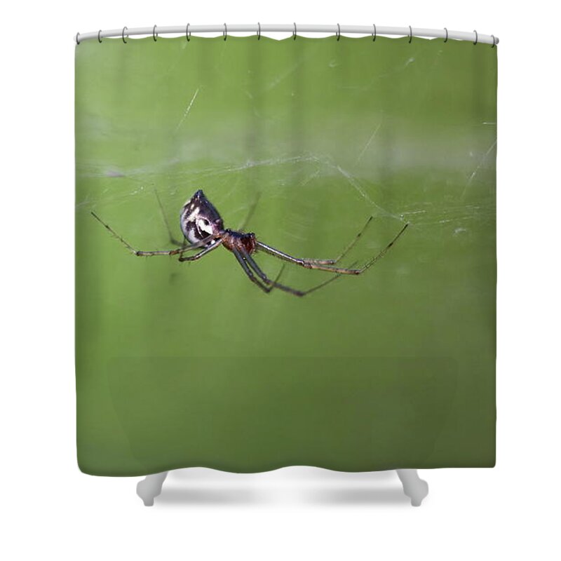 Finland Shower Curtain featuring the photograph In the green space by Jouko Lehto