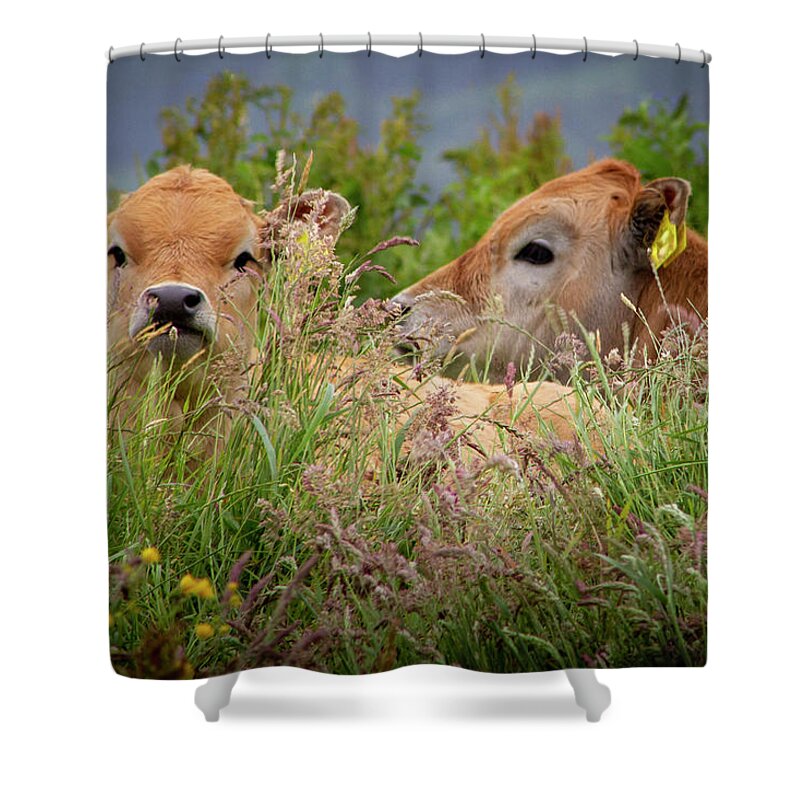 Long Shower Curtain featuring the photograph In The Long Grass II by Mark Callanan