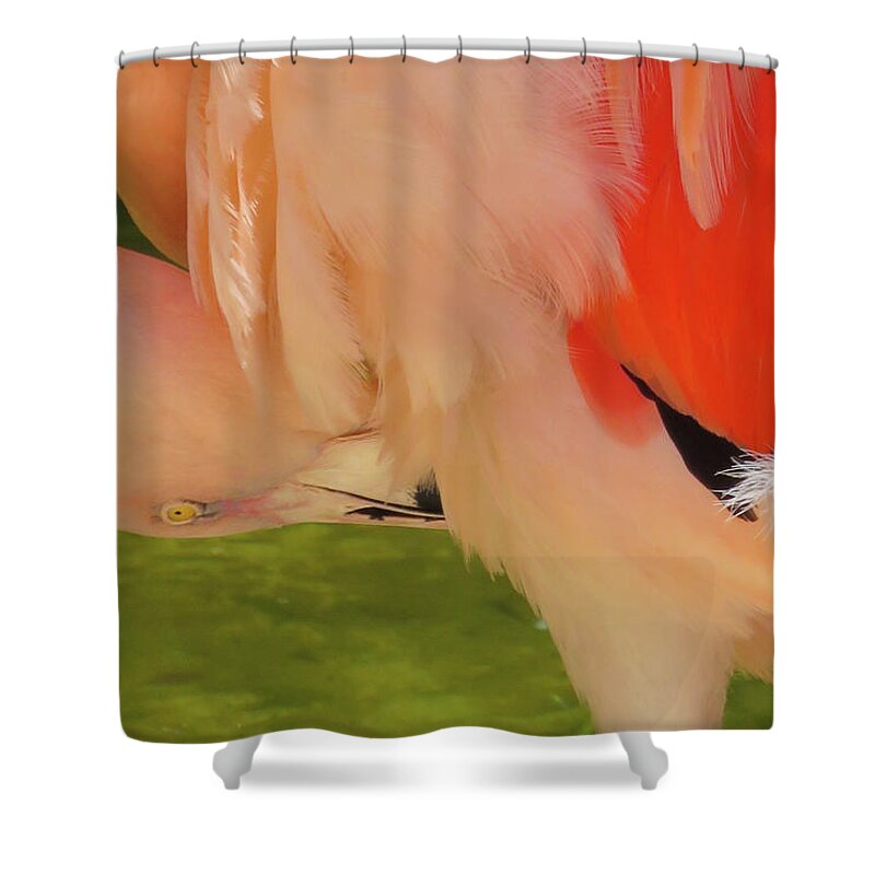 Pink Shower Curtain featuring the photograph In the Pink by Vicky Edgerly